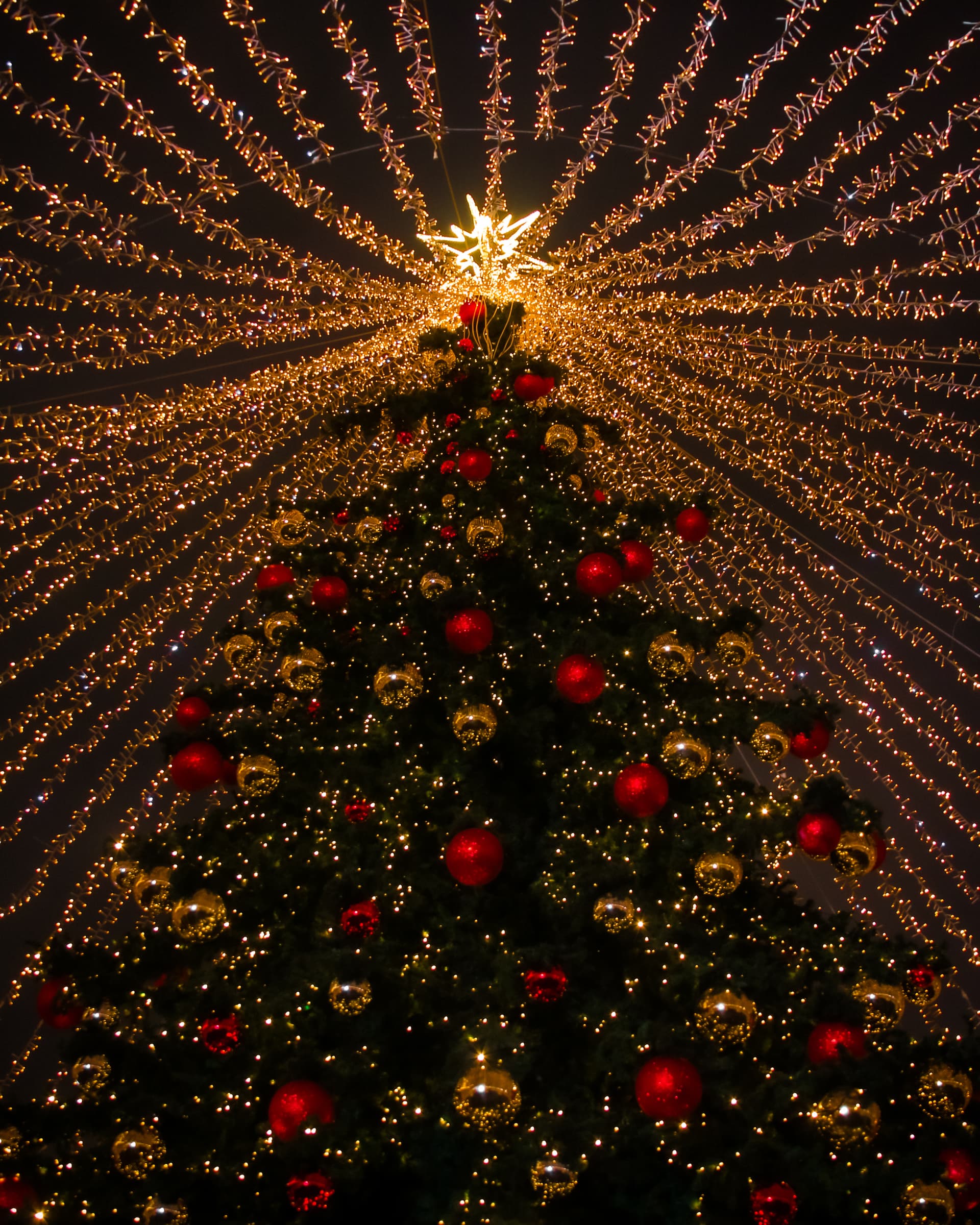 Santa's Castle